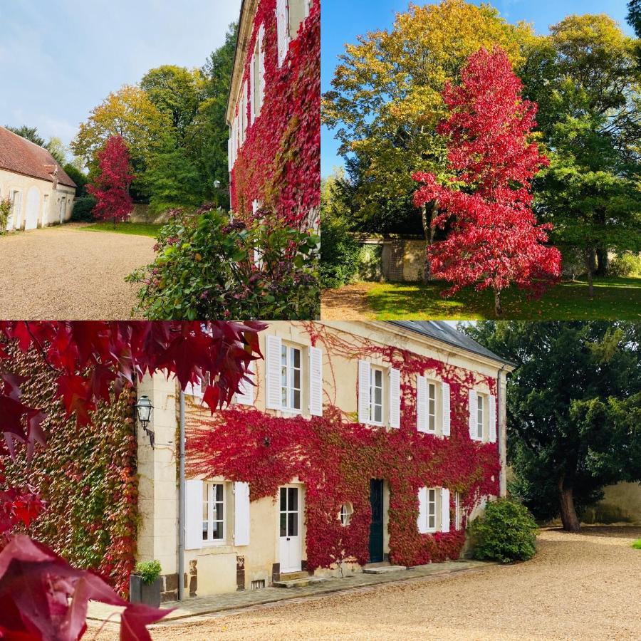 Les Couleurs Du Verger Beaumont-les-Autels Buitenkant foto