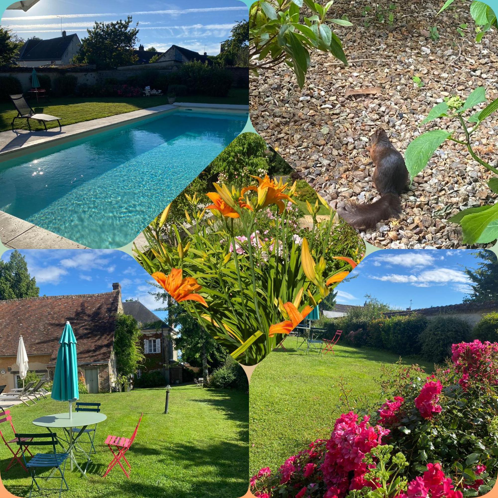 Les Couleurs Du Verger Beaumont-les-Autels Buitenkant foto