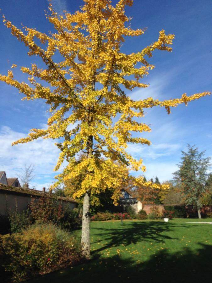 Les Couleurs Du Verger Beaumont-les-Autels Buitenkant foto