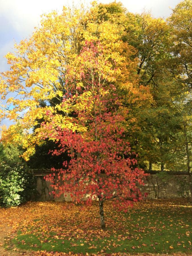 Les Couleurs Du Verger Beaumont-les-Autels Buitenkant foto